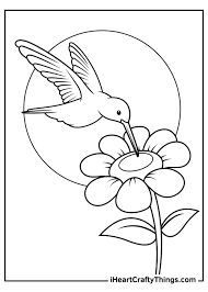We also included a fun fact! Hummingbird Coloring Pages Updated 2021