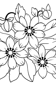 The kids will love these fun santa coloring pages. Flower Coloring Page Yellow And Orange Anemone Download