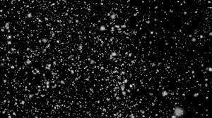 You have to know snow black screen effect and snow effec. Glittering Snow Black Background Downloops Creative Motion Backgrounds