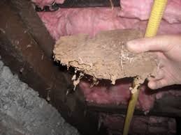 It is great i never see a bug in my home anymore. Termites Petes Pest Control