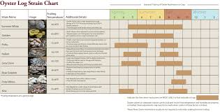 planting harvesting mushrooms timelines