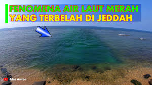 Kali ini sy mau share ke sahabat youtube, sewaktu sy jalan2 malam hari di tepi pantai jeddah yg baru(laut merah), perbedaan yg sangat. Fenomena Laut Merah Terbelah Di Jeddah Arab Saudi Youtube