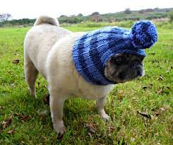 Knitted Bobble Dog Hat For Small Dog By Thesnugpug On Etsy Dog Hat Small Dogs Dogs