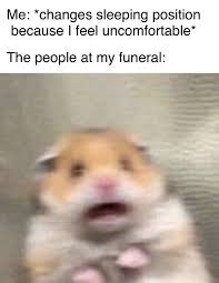 Pin By Elsa E On Humor Funny Relatable Memes Stupid Funny Funny Jokes