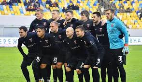 Посадка й догляд за вересом у відкритому ґрунті: Lvivska Gravitaciya Yak Veres Mozhe Zniknuti Z Rivnogo Chi Upl Chempionat Ukrainy