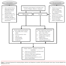 Assessment Of Concussion Mild Traumatic Brain Injury Related