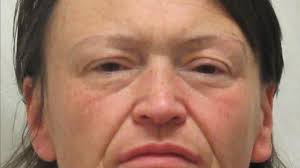 Authorities: Local woman tased and arrested after leading police