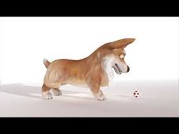 My Task Was To Create Advanced Quadruped Rig To Achieve This Goal I Used My Own 3d Model Of Dog And Pay Special Attention To Character Rigging Animation Corgi