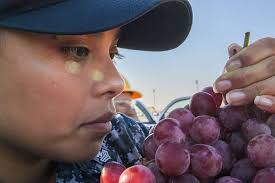 170831-N-FP878-017 NAVAL STATION ROTA, Spain (Aug.