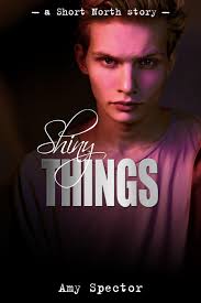 Shiny Things by Amy Spector