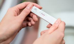The termites will chew on the wood inside these baiting systems and give us an indication that there might be termites, somewhere associated with the home. Cenla Pregnancy Center A Place For Women