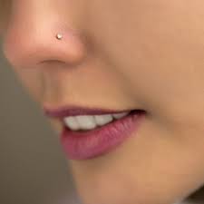 Piercing En La Nariz Tipos Colocacion Cuidados Y Muchas Imagenes Informacion Imagenes