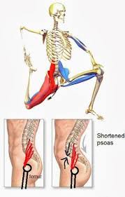 Tight hip flexors can be an annoying sensation for many lifters. Pin On Posture