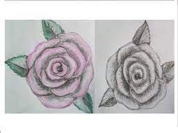 Blumen online kaufen und den passenden online blumenversand finden, wird so mit blumen.de noch leichter für sie. Rose Zeichnen Mit Bleistift Fur Anfanger Blumen Malen Lernen Zeichentutorials Youtube