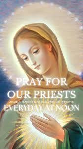 Thank you for uniting in prayer by offering your rosary intentions for the  Holy Father, Pope Francis. Please let's also keep him in daily prayer and  offer the Unity Prayer for him.