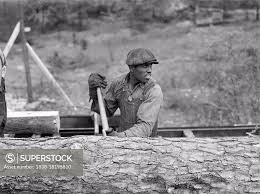 Sawmill Worker, Heard County, Georgia, USA, Jack Delano, U.S. Office of War  Information, April 1941