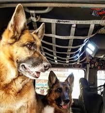 2005 Newer Toyota Tacoma Double Cab Ceiling Attic Net Toyota Tacoma Double Cab Toyota Tacoma Tacoma