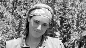 La huella de Alina en Latinoamérica