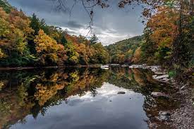 Fair winds is located at 12810 route 36, clarington, pa 15828 just 2.5 south of the clarion river between cook forest and clear creek state parks. Cook Forest State Park To Host Canoe Fishing Program Exploreclarion Com