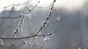 Жамбыл облысында 1-3 градус аяз күтіледі