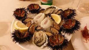 Perché un plb è meglio di uno smartphone. Antipasto Di Crudo Di Mare Ricci Allievi Ostriche E Cozze Picture Of Ristorante Biancofiore Bari Tripadvisor