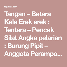 Pin Di Gambar