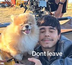 Amber Cornejo Dog Died