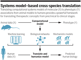 A clinically relevant animal model for metastatic prostate cancer Translating Preclinical Models To Humans Science