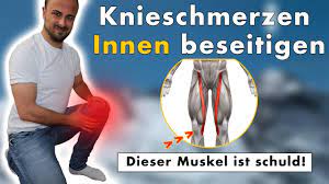 Knieschmerzen gehören zu den häufigsten beschwerden bei läuferinnen. Knieschmerzen Innen Ist Kein Knorpelschaden Ursache Losung Durch Ubungen Youtube