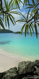 Maybe you would like to learn more about one of these? St John S Longest Beach Cinnamon Bay Beach Us Virgin Islands Enjoy Camping This Beach Has A Cam Schone Landschaften Amerikanische Jungferninseln Reiseziele