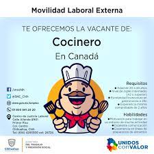 Oferta Servicio Nacional De Empleo Chihuahua Vacantes Para Canada Alemania Y Estados Unidos Segundo A Segundo Noticias De Chihuahua