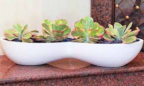 The grips on the handlebars are worn a bit, and the basket on the front of the bike is bent and rusted, which makes it a great planter to use when you are looking for something to decorate your garden in the fall. 9 Best Succulent Planters For Container Gardening 2020 Gardener S Path