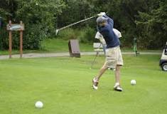 Image result for what are the blue tees in golf