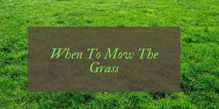 How often do you cut your lawn in summer? How Often Should You Cut Grass Garden Diy Blog