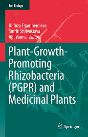 Kitchen sinks stainless steel 304. Pdf Phytoremediation