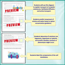 27.02.2019 · a cell transport review worksheet answers is a few short questionnaires on a certain topic. Cell Transport Osmosis Diffusion Printable And Digital Distance Learning