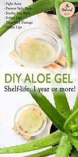 Homemade Aloe Vera Gel Shelf Life Upto 1 Year Or More The Natural Diy Aloe Vera Recipes Fresh Aloe Vera Gel Aloe Vera Moisturizer