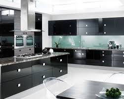 color fits most: black kitchen cabinets
