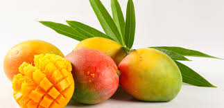 Pin On Mango