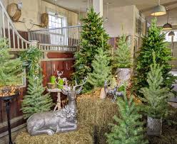 The Martha Stewart Blog Blog Archive A Special Holiday Show On Qvc