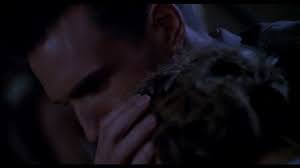 Showing all 3 items jump to: The English Patient Friuli Venezia Giulia Film Locations