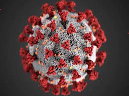 Most changes have little to no impact on the virus' . Mu Everything You Need To Know About The New Coronavirus Variant Of Interest Chanakya Forum