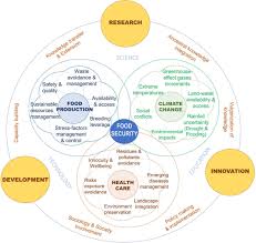 They contain several active it is an ideal insecticides. Increasing The Impact Of Science And Technology To Provide More People With Healthier And Safer Food Chavez Dulanto 2021 Food And Energy Security Wiley Online Library