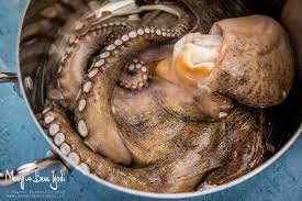 E' uno dei metodi più facili e veloci per ottenere un polpo tenero e delizioso (anche congelato) grazie alla pentola a pressione. Come Cucinare Il Polpo Trucchi E Ricette Per Valorizzarlo Al Meglio Mangia Bevi Godi Blog Di Cucina E Ricette