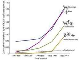 What animals are extinct now because of human influence, whether it be pollution, destroyed habitat, an invasive species that humans introduced to a new area, or hunting? 75 Percent Of Animal Species To Be Wiped Out In Sixth Mass Extinction Data Mine Us News