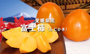 愛媛フルーツショップ段々畑