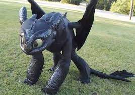 Costumes inflatable dinosaur dragon costume dinosaur stuffed animal giants. O O Toothless Cosplay Or Is This A Blow Up Thing Either Way It S Cool But Cosplay Is Way Co Amazing Cosplay How Train Your Dragon How To Train Your Dragon