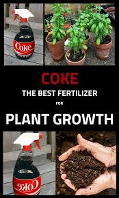 The main elements a plant consumes are nitrogen one drawback to using synthetic fertilizers to fertilize indoor plants is that they're limited to their labeled. Coke The Best Fertilizer For Plant Growth Gardentipz Com Natural Plant Fertilizer Diy Fertilizer Garden Fertilizer