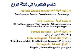 الفحص البكتيريولوجى لمياة الشرب والصرف الصحى Ppt Download