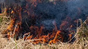 Flä­chen­brand : ce qu'il faut savoir — image 5